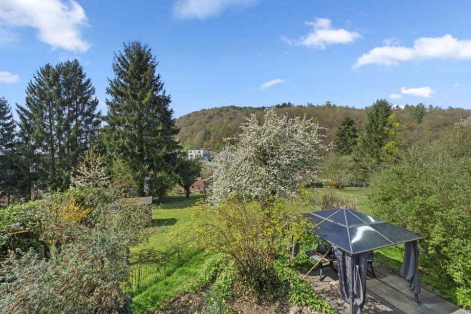 Aussicht auf den Garten Wohnung Gelnhausen